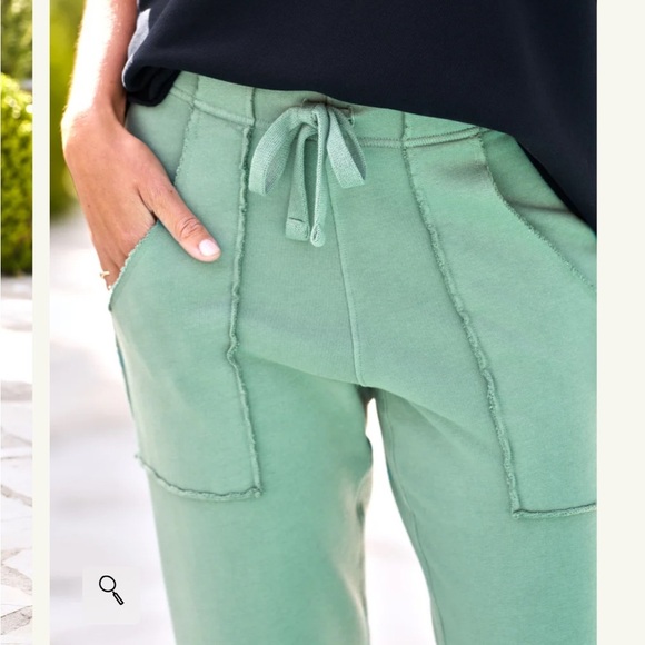 Frank and Eileen EAMON Jogger Sweatpant Green Triple Fleece Pant Sz M NEW - Picture 3 of 10